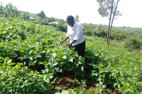April Tips: Making the Most of the Long Rains