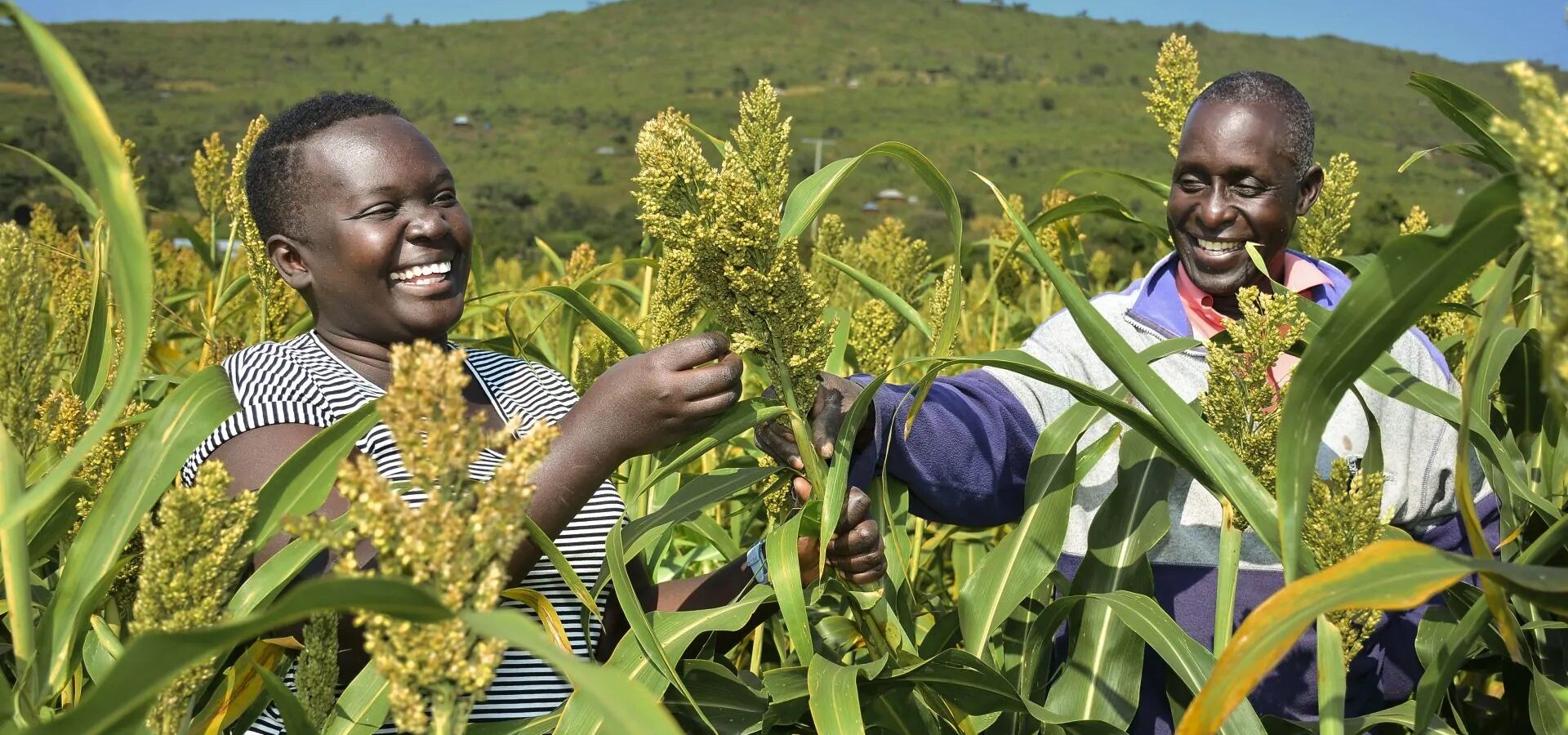 Quality Food Production