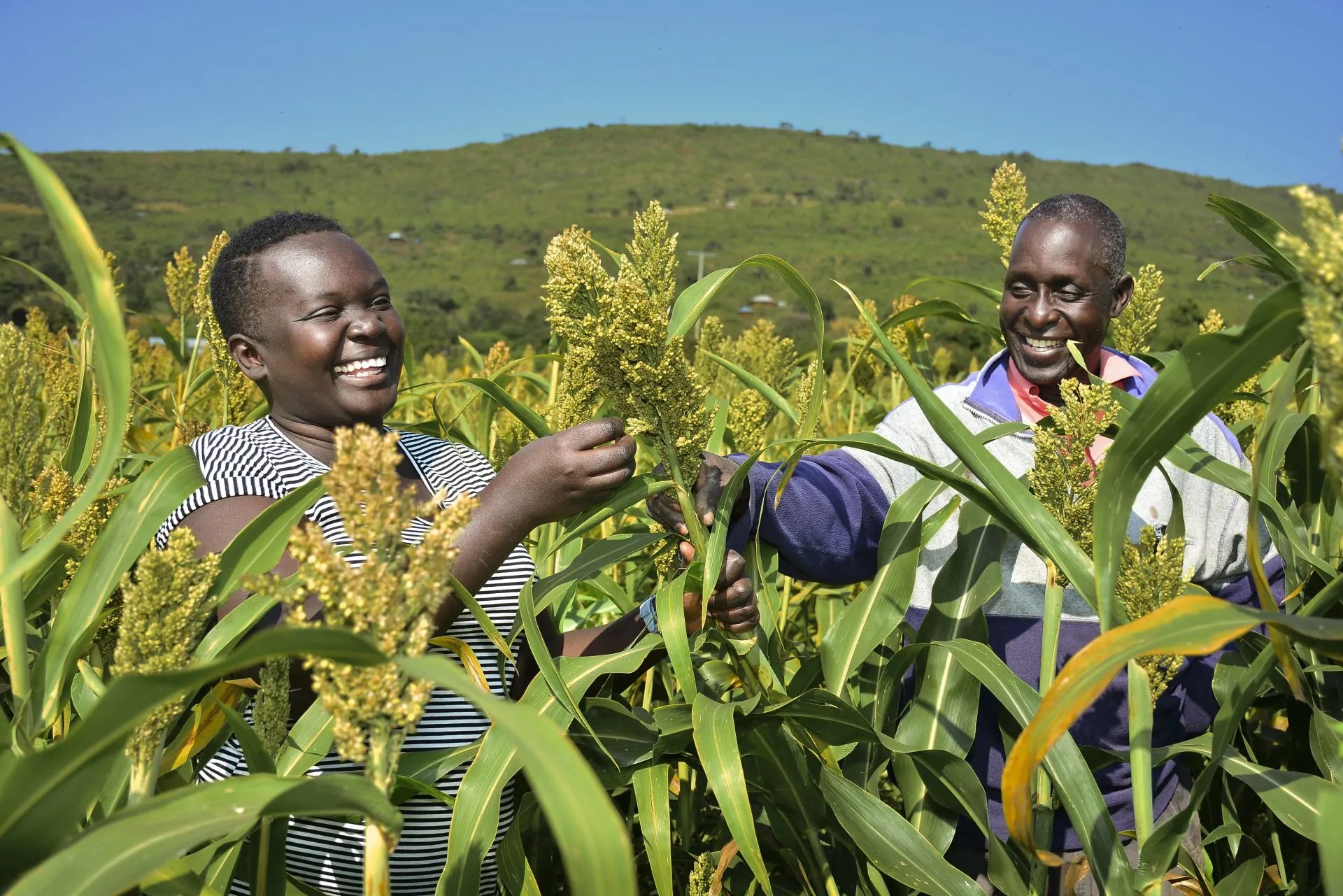 Quality Food Production