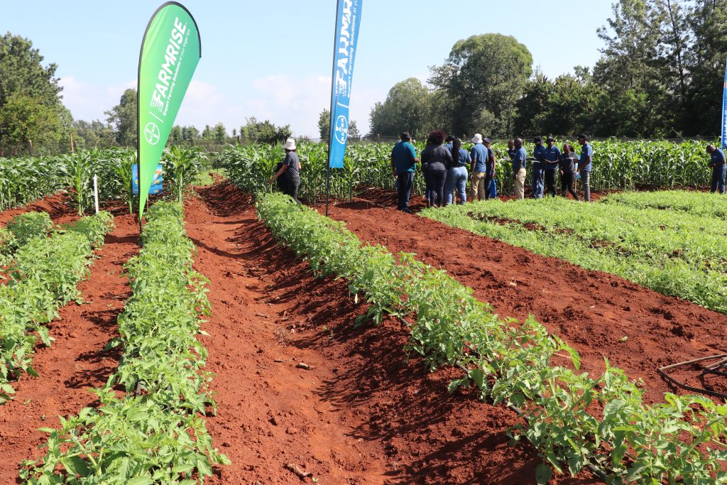 Smallholder Productivity Improvement Project (SMAPIP)