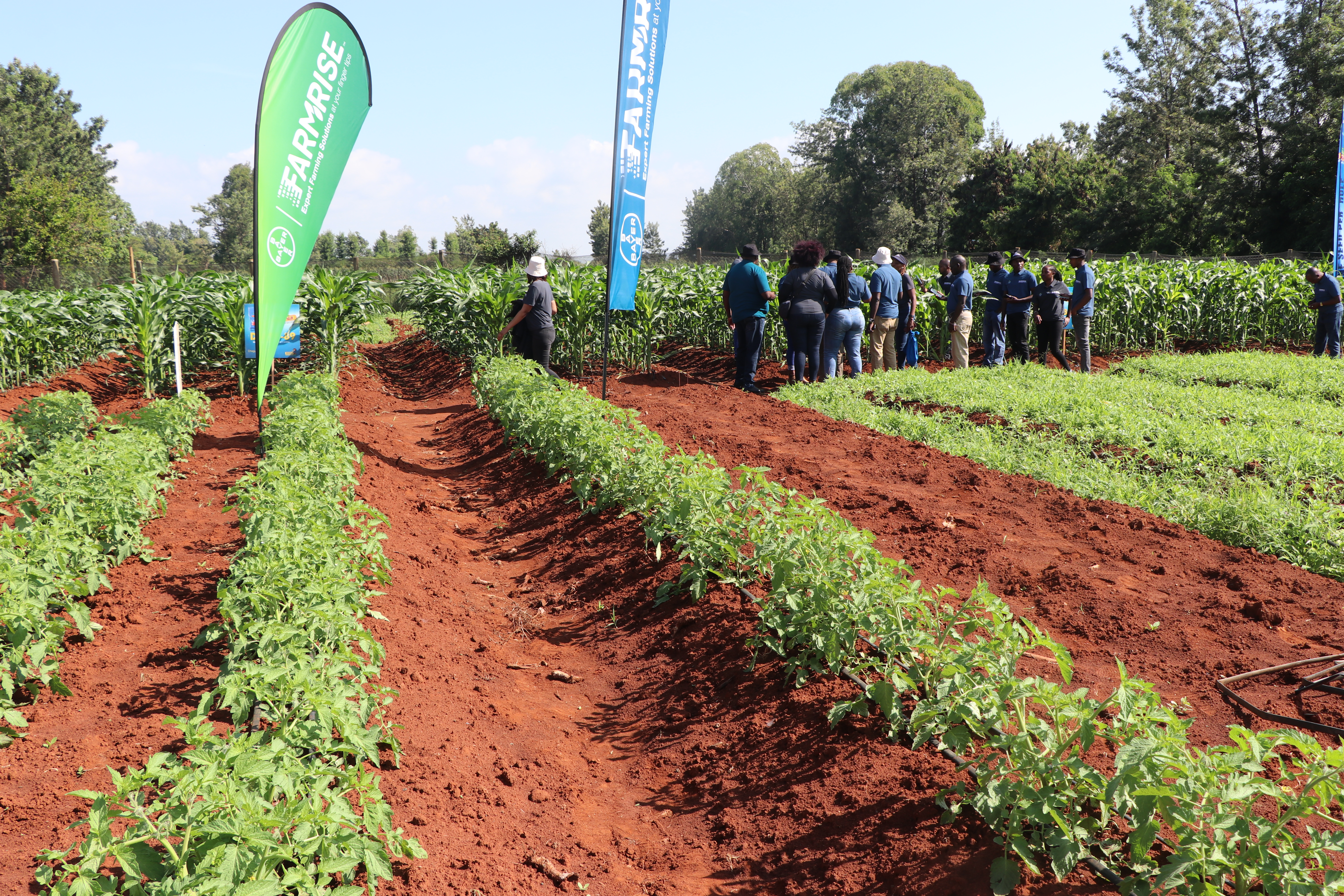 Smallholder Productivity Improvement Project (SMAPIP)