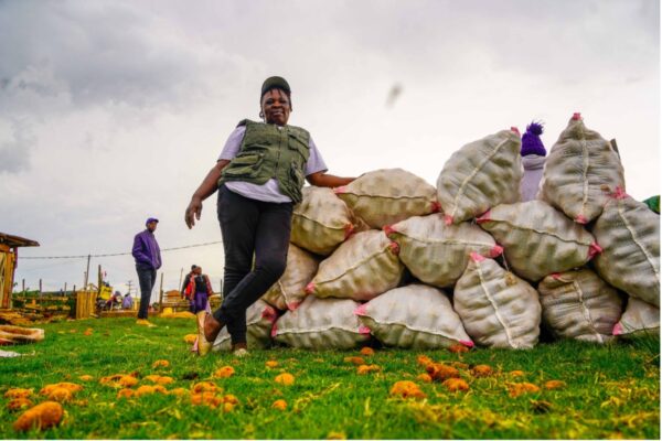 2 Acres, 3 Businesses, and a Legacy Built from Farming (IWD 2026)